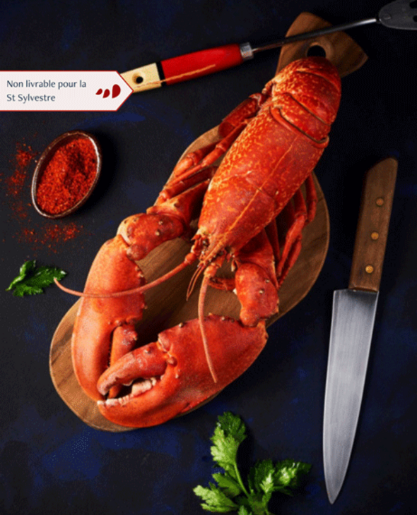 Homards cuits par nos soins