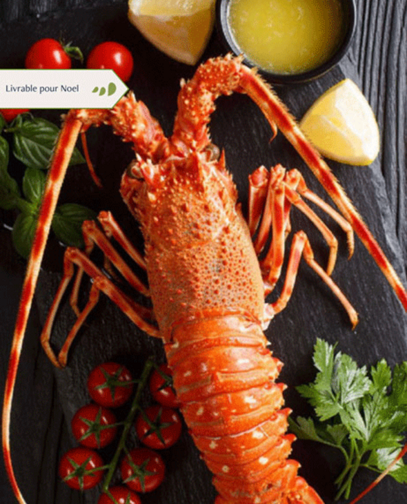 Langouste royale cuite par nos soins